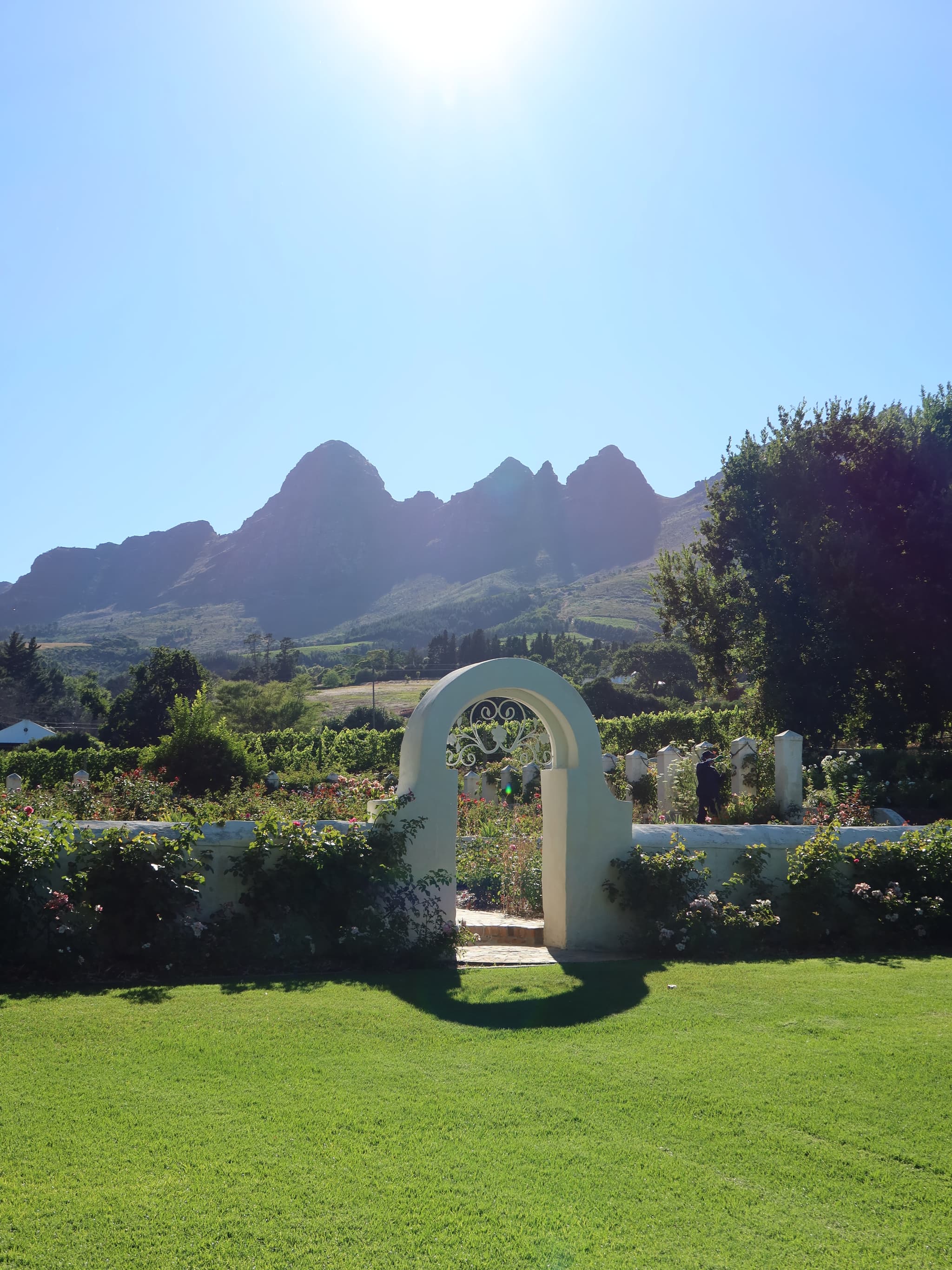 White garden archway with Helderberg mountains and rose garden