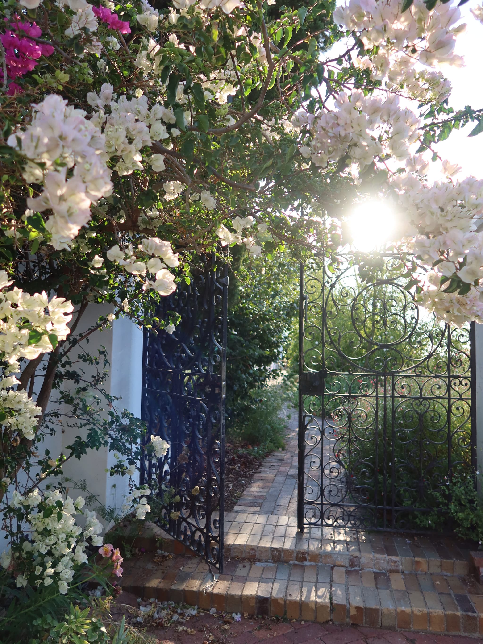 Iron gate