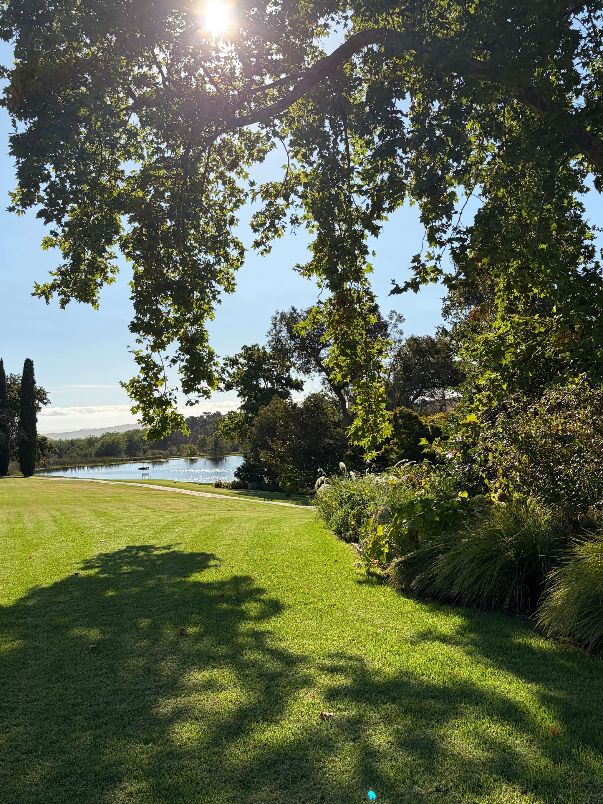 Lawn lake oaks