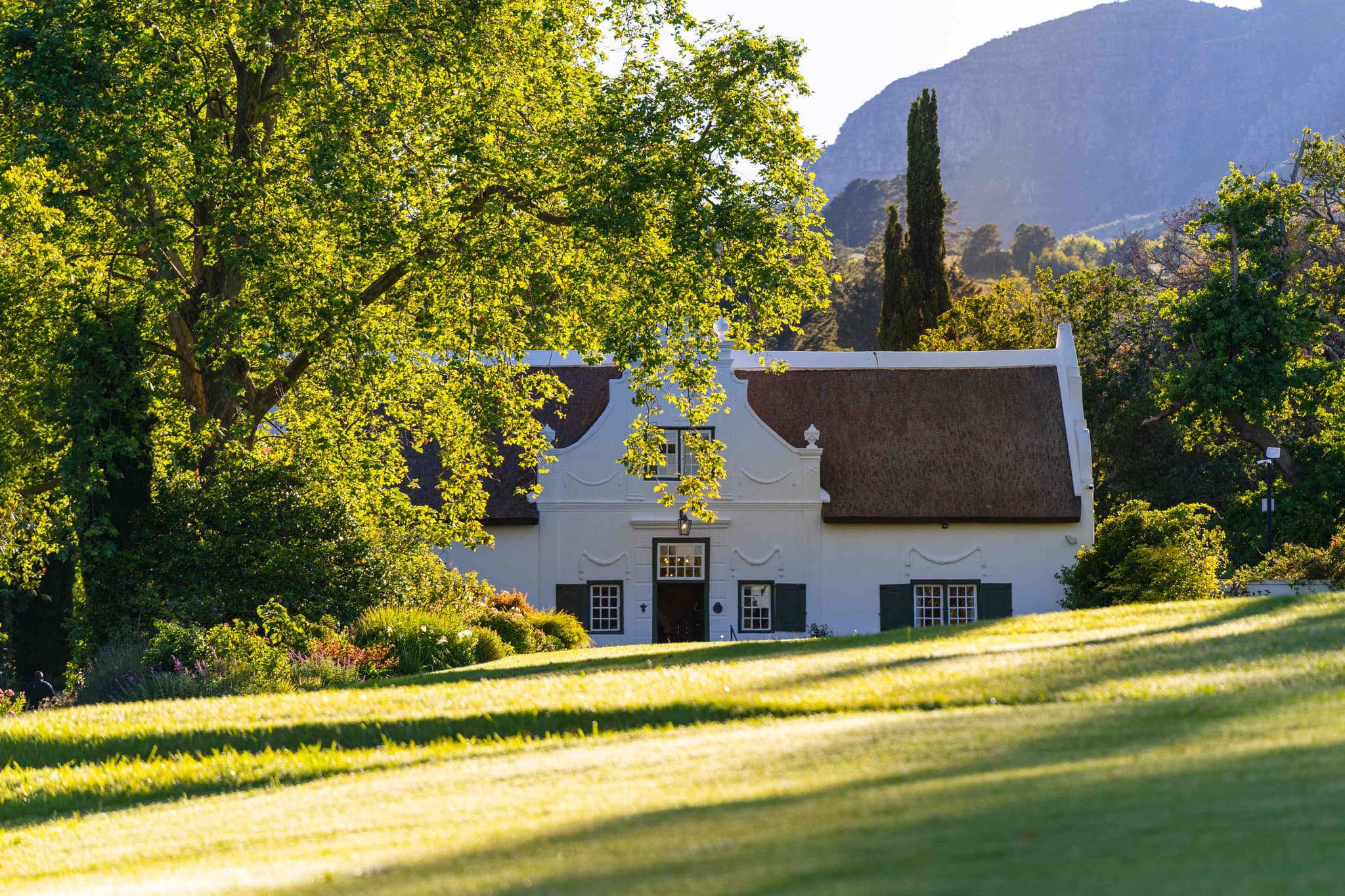Manor golden lawn