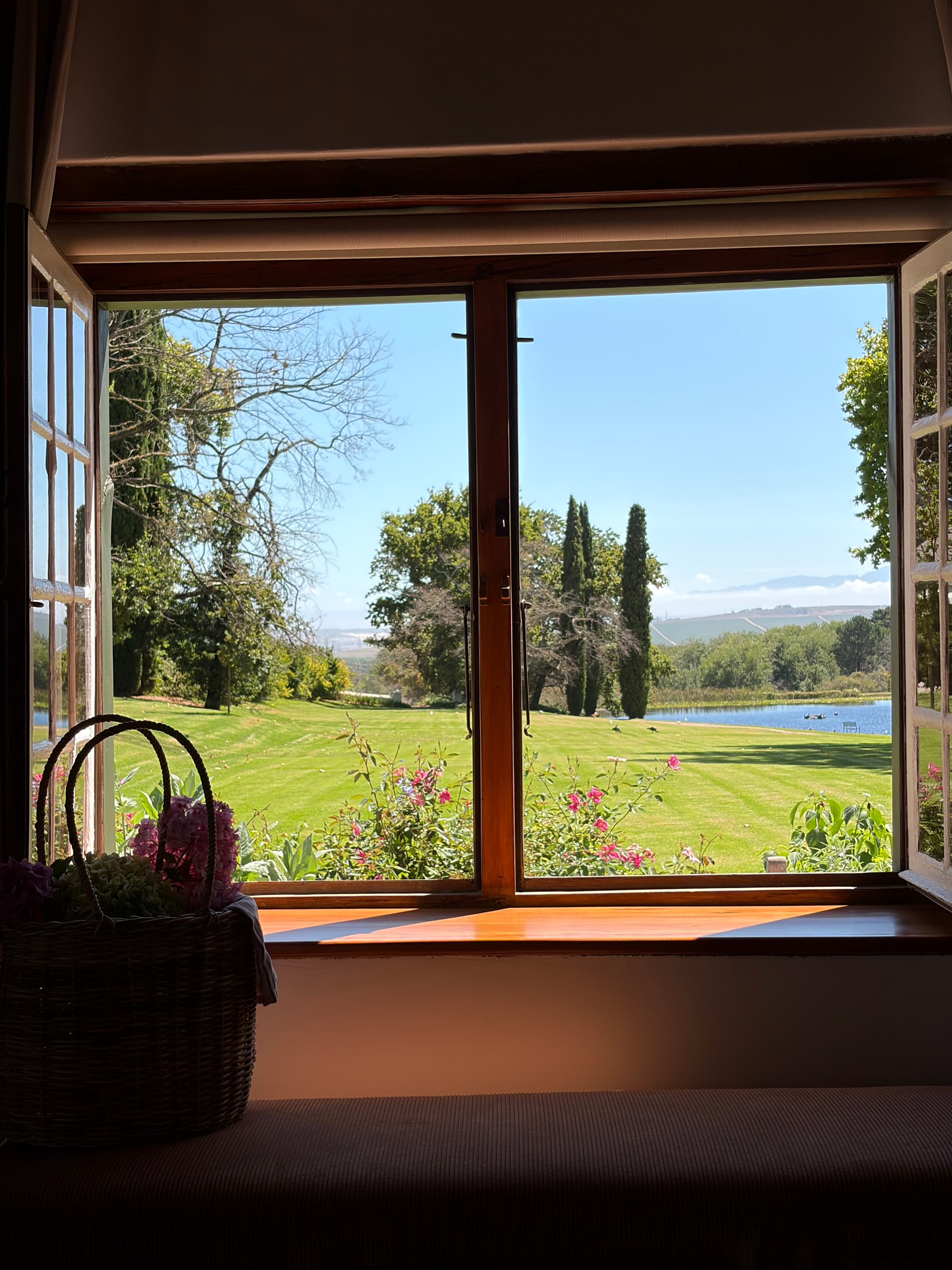 Window view