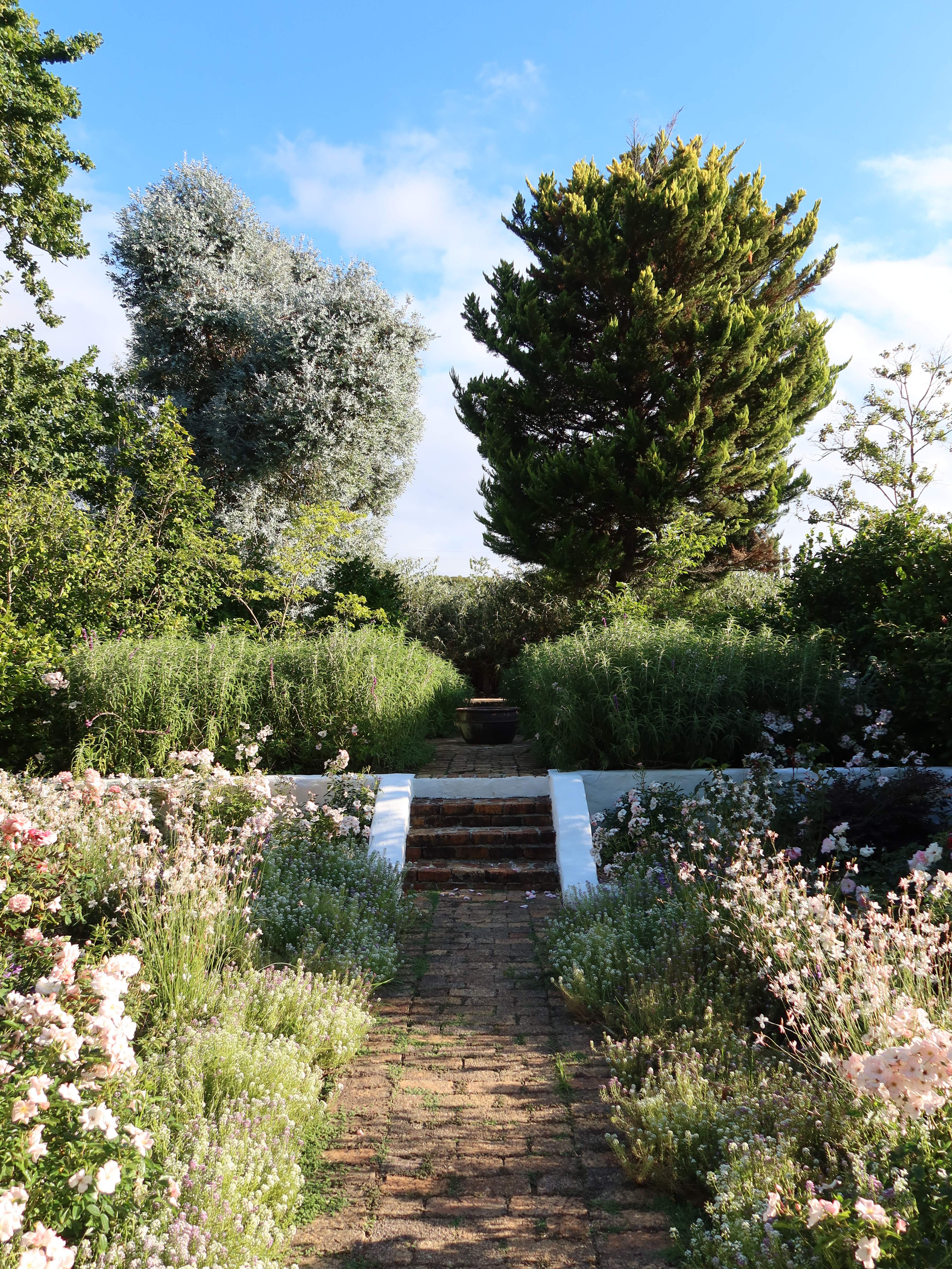 Rose garden path