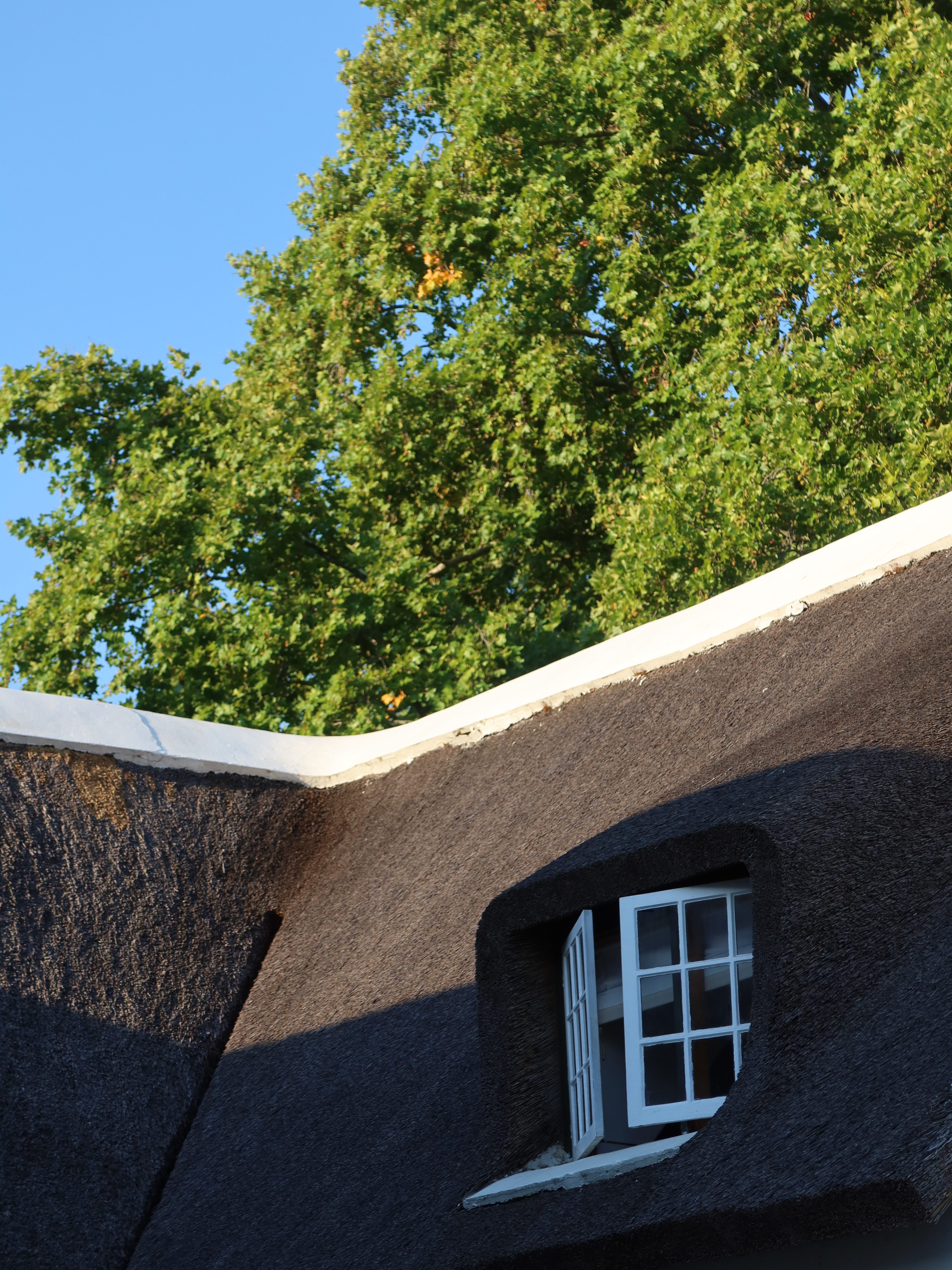 Thatched roof detail